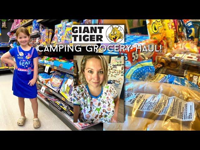 Giant Tiger Grocery Haul! Camping Prep & Special Treats For Everyone!