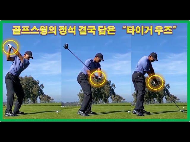 골프 스윙의 정석 "결국 답"은  타이거 우즈 퍼펙트 우드, 드라이버 스윙 & 슬로우모션 #Tiger Woods Perfect wood&Driver Swing,Slow motion