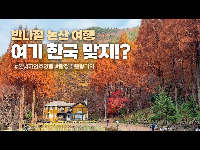 반나절 논산 여행 이국적인 온빛자연휴양림과 탑정호출렁다리 & 카페에서 차 한 잔️