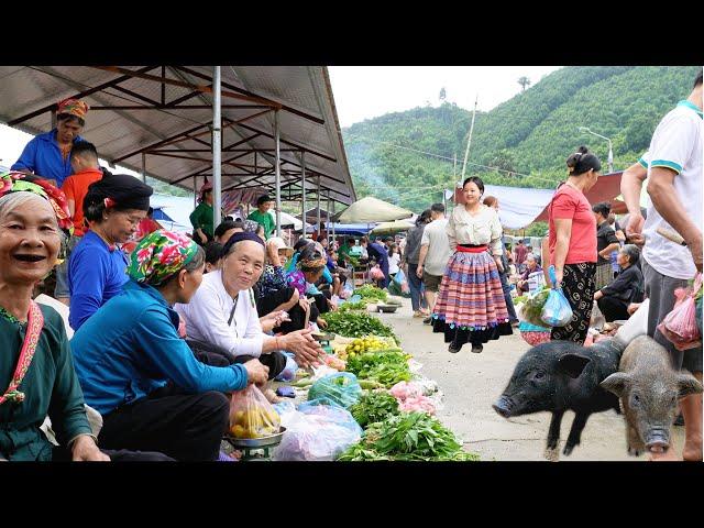 rustic market VINH YEN bao yen lao cai / the latest northwest market