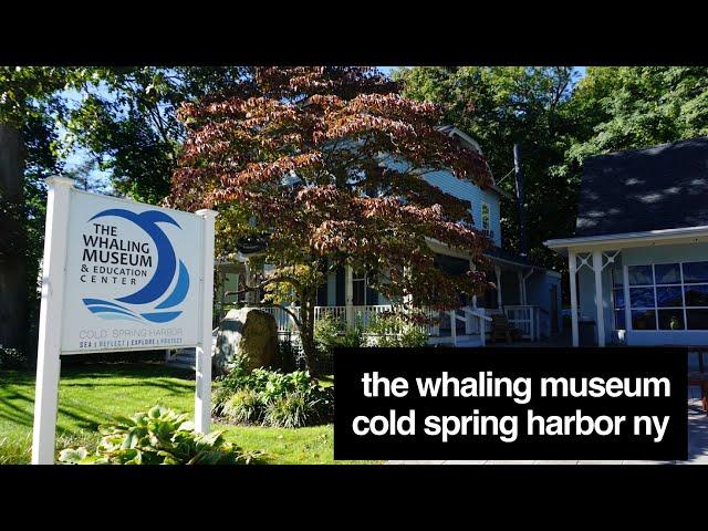 The Whaling Museum