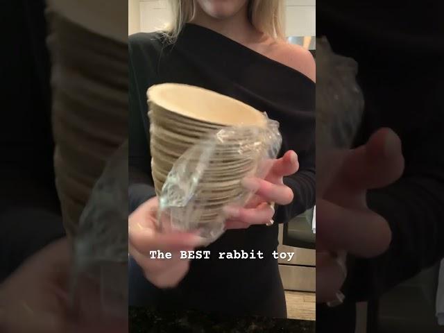 Palm leaf is the BEST rabbit toy #rabbit #bunny