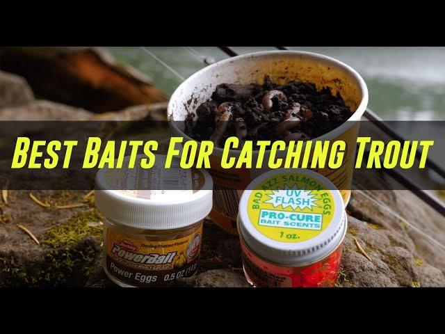 3 BEST Baits To CATCH Stocked Trout In Lakes Or Ponds