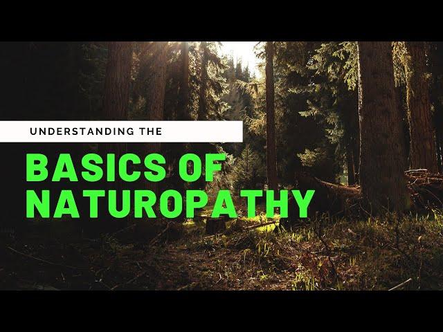 Understanding The Basics Of Naturopathy