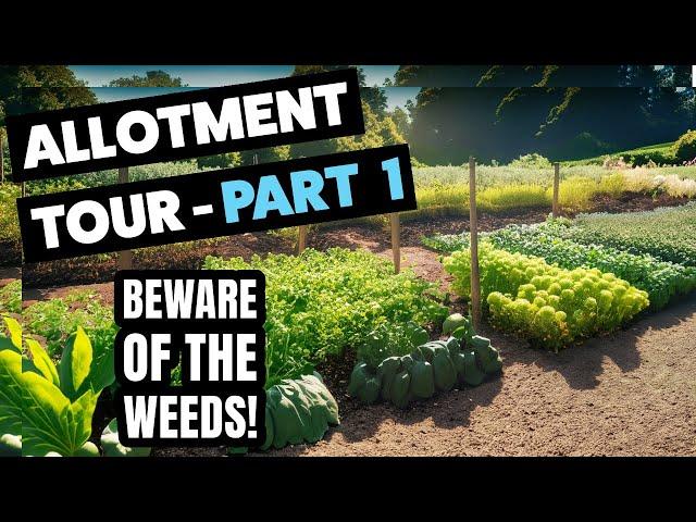 Cheshire Allotment Tour - Part 1 - It is in a sad state! - Allotment Diary