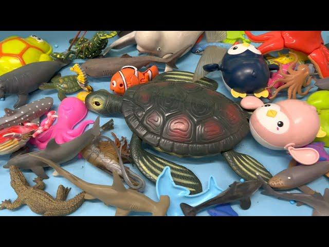 Collection of Sea Animals Toys for Kids