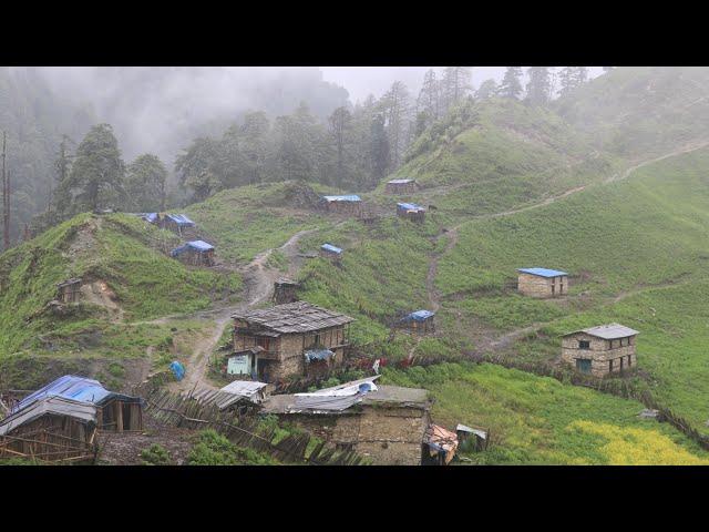 Simple Nepali Rural Village in Mountain || Life with Beautiful Nature || IamSuman