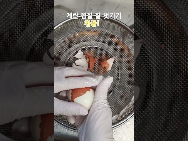 달걀  반숙 삶기  Soft Boiled Eggs
