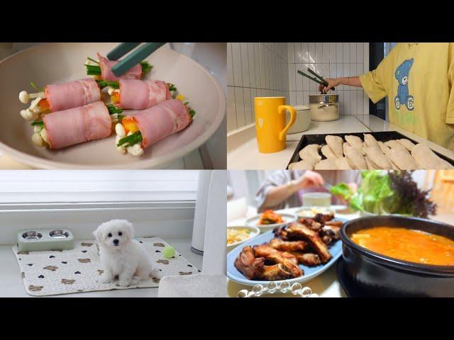 주부일상 vlog | 김치만두 공장 가동 | 치킨에 혼술 | 남편 도시락싸기 | 콩이 3차 접종