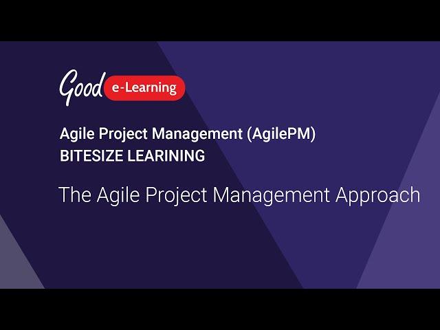 AgilePM Bitesize Learning: The Agile Project Management Approach ( Agile Project Management)