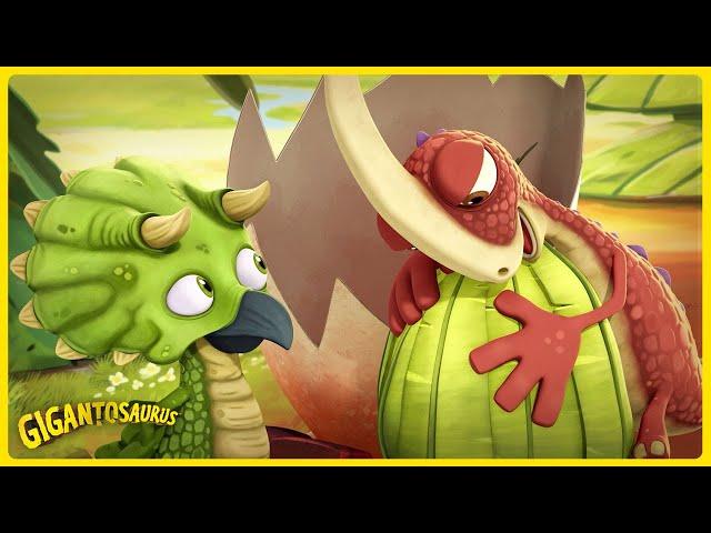 Rocky’s Mystery Gift!  What’s Hiding Inside Tiny’s Odd Surprise? | Gigantosaurus Multilingual