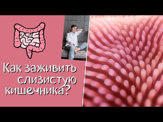 Как заживить слизистую кишечника? Питание, добавки.