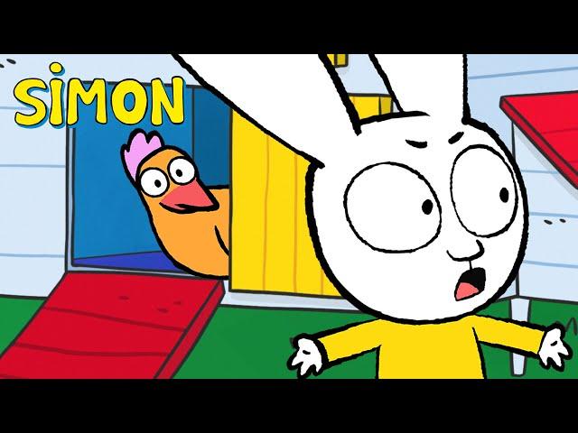 The Chicken Coop Rescue Mission | Simon | Full episodes Compilation 30min S4 | Cartoons for Kids