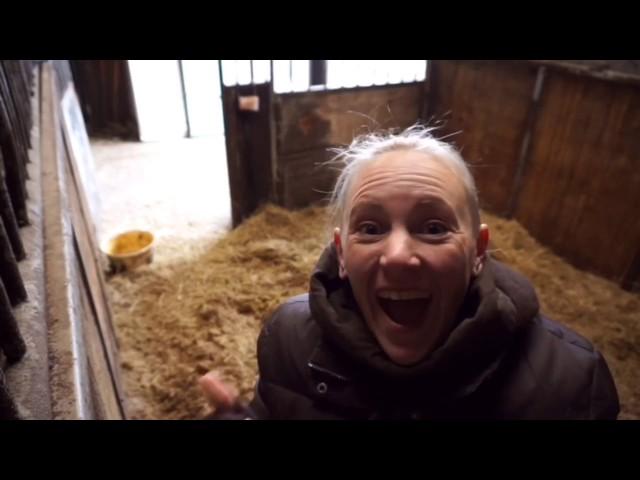 Barn VLOG A day in the life of Signe of Horses