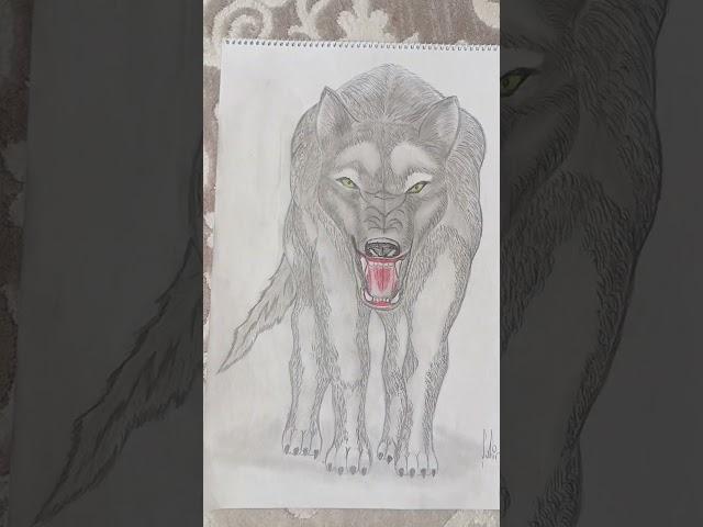 Wolf #kurt #bozkurt #art #karakalem #draw