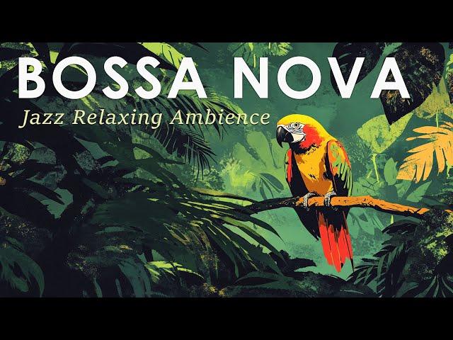 Bossa Nova Tropical Beauty ~ Best Bossa Nova Jazz for Stress Relief ~ Jazz Alchemy Quartet