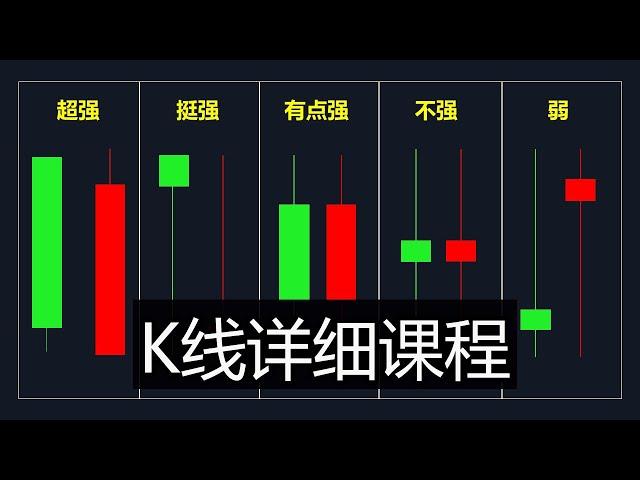 解读每一个股票K线背后的含义! NVDA TSLA