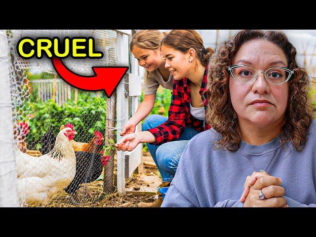 Free Range vs Enclosed Run - What's REALLY Best for Chickens