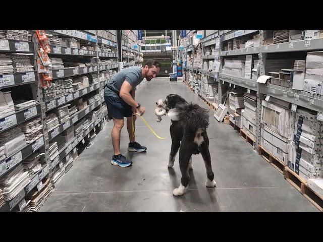 Gus and Lowe's