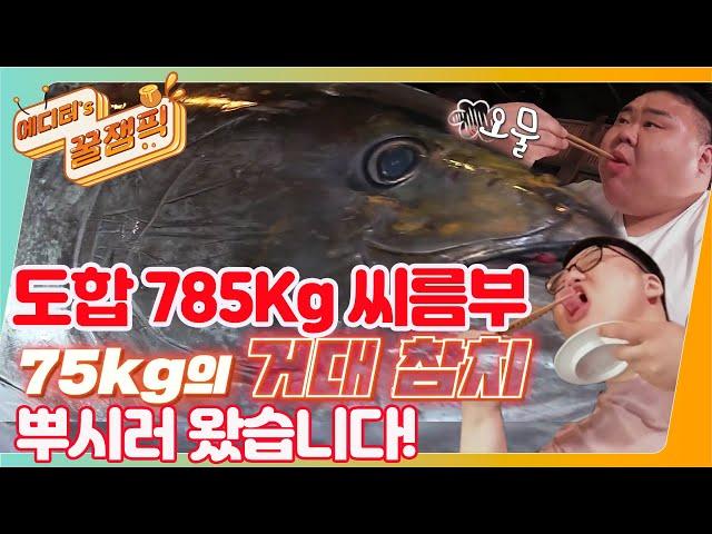 [#사장님귀는당나귀귀] '도합 785Kg' 씨름부 ※대왕참치※ 뿌시러 왔습니다!!