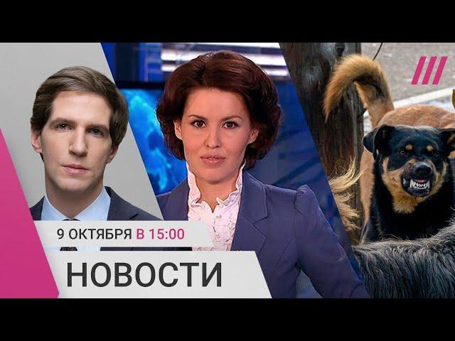 Экс-ведущая ВГТРК в розыске. Армия России стареет. Собаки загрызли девочку в Якутии