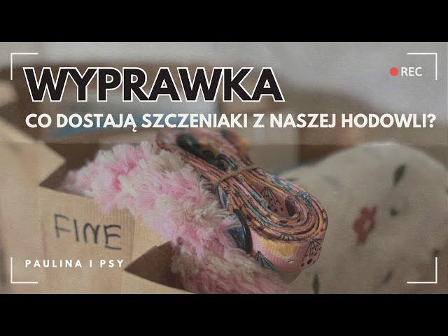 WYPRAWKI DLA SZCZENIAKÓW: CO DOSTAJĄ MALUCHY Z MOJEJ HODOWLI? | PAULINA I PSY