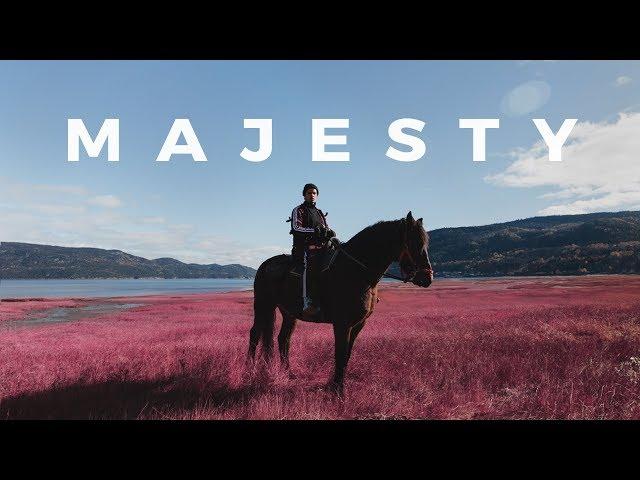 Apashe - Majesty (ft. Wasiu) [Official Music Video]