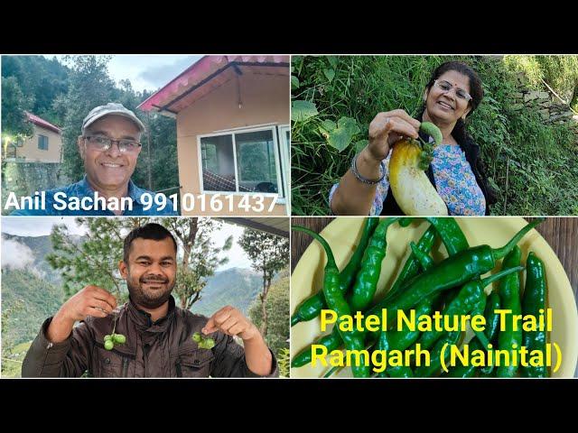 Self grown organic vegetables at my home | Patel Nature Trail, Ramgarh (Nainital) 9910161437