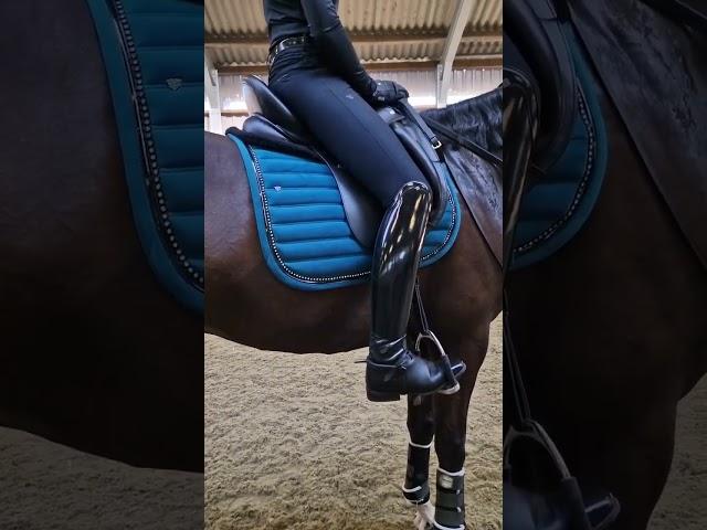 Vincere saddle pads - Our Saddlery