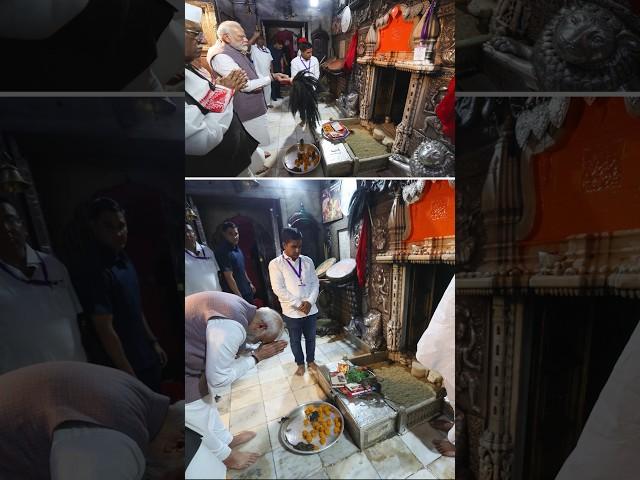 PM Modi offered prayers at Karni Mata Temple in Bikaner| #shorts