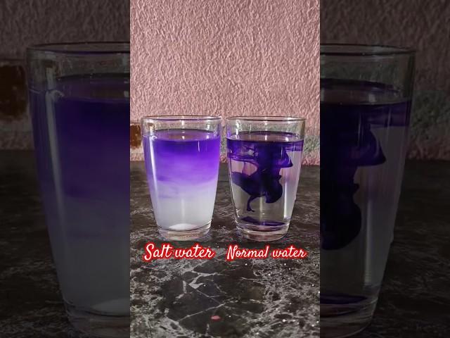 New science Experiment with  salt water and Normal water do at home very early...