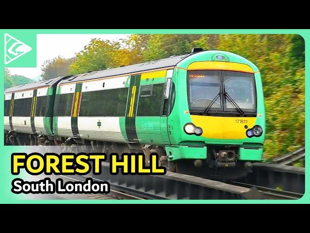 Trains at Forest Hill 02/05/2024