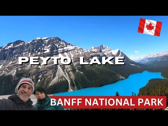 Peyto Lake, Banff National Park  | Canada’s Turquoise Jewel