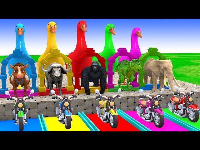 Long Slide Game With Elephant Gorilla Buffalo Hippopotamus Tiger 3d Animal Game Funny 3d Animals