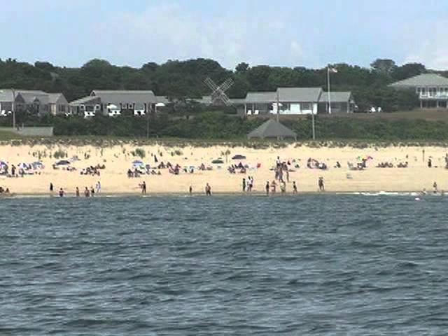 Tour of Shark Alley off Chatham, Cape Cod