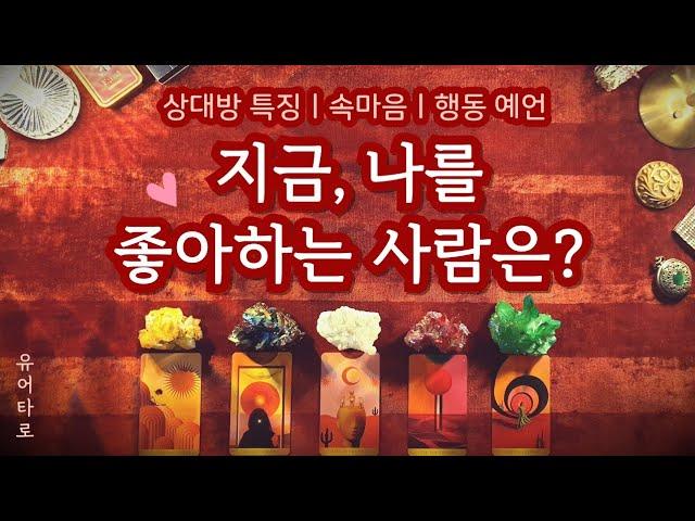 [타로] 지금 나를 좋아하는 사람은 몇 명 일까? 상대방 특징 + 곧 보일 행동 소름 돋는 예언