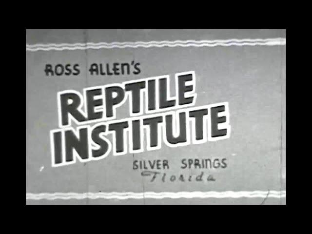 Ross Allen's Reptile Institute