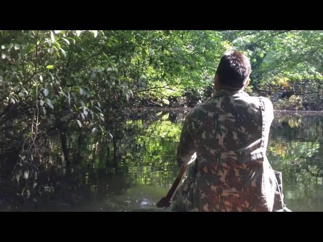 Canoeing in the Amazon rainforest