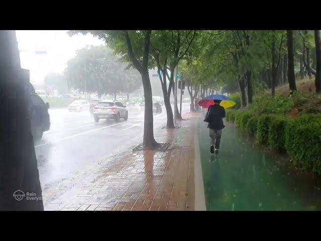 Heavy Rain Walk Full Relaxation Sound for Sleep Study Meditation. White Noise ASMR.