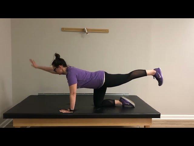 Quadruped exercises