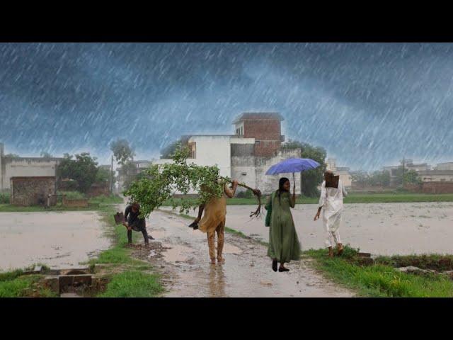 Early Morning Heavy Thunderstorm and Super Rain In the Village of Pakistan