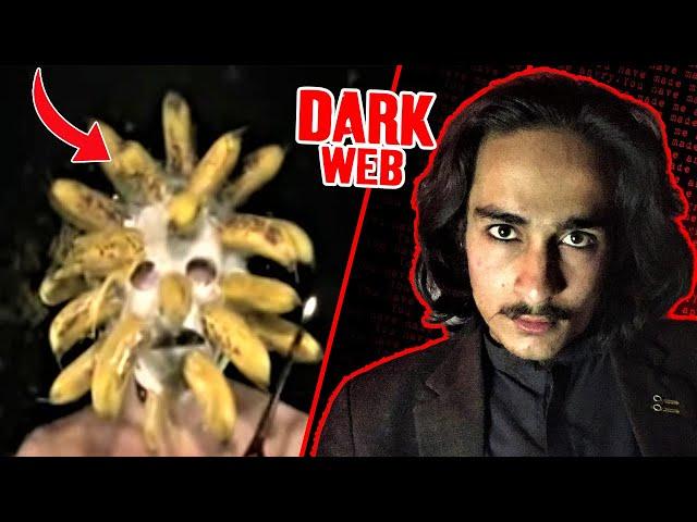 I FOUND REAL DARK WEB VIDEOS - PART 6