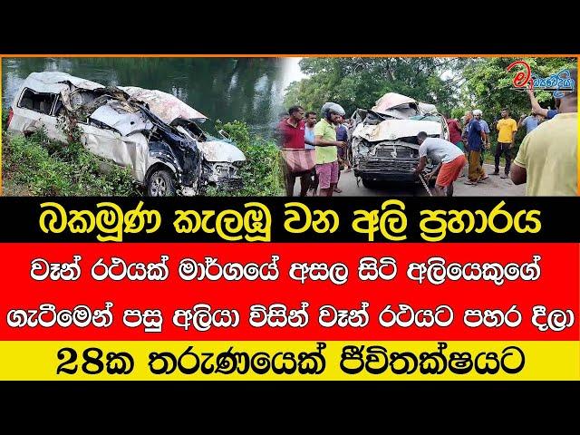 වෑන් රථයක් මාර්ගයේ අසල සිටි අලියෙකුගේ ගැටීමෙන් පසු අලියා විසින් වෑන් රථයට පහර දීලා