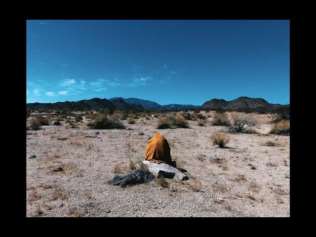 Alexis Taylor - Dying in Heaven