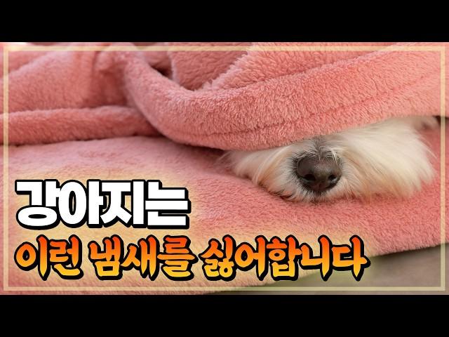 강아지가 좋아하는 냄새 vs 싫어하는 냄새
