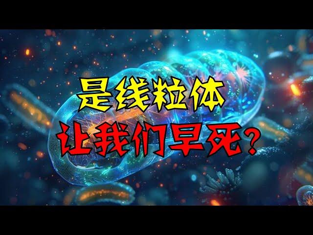 是线粒体让我们早死？线粒体正将其 DNA 发射到我们的脑细胞中