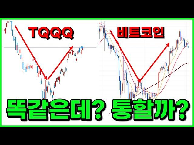 월 2,000만원 수익난 무한매수법 비트코인에서도 통할까? 그냥 결과로 보여드립니다