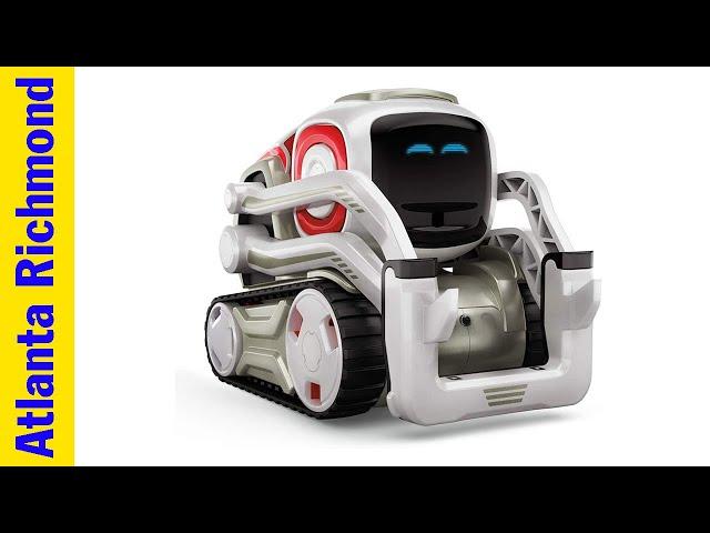 Top 5 Best Programmable Robots 2024