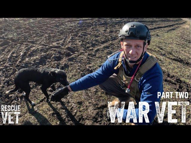 Ukrainian dog shot by Russian Sniper | War Vet: Part Two