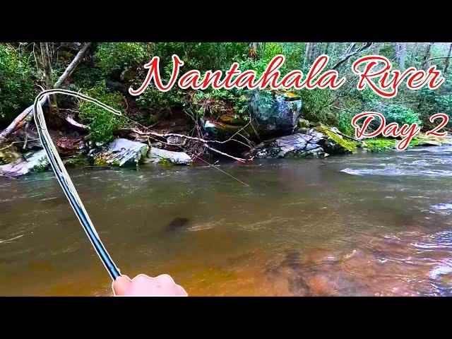 Fly Fishing North Carolina | The Nantahala River | Brook Trout Bonanza